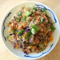 VFriedrice7mainb