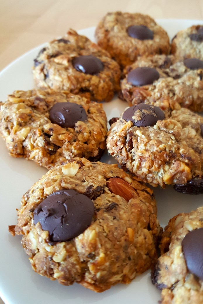 Muesli cookies 23 low res