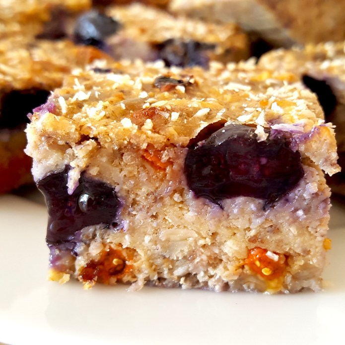 Blueberry bars 15