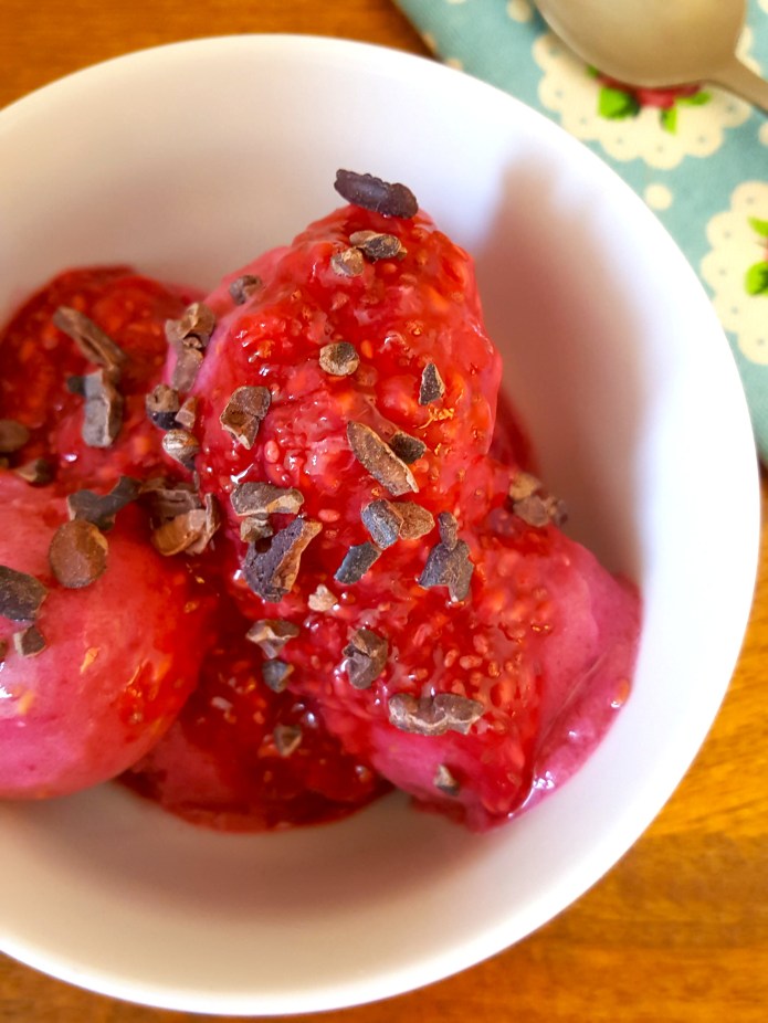 Raspberry ice cream 16