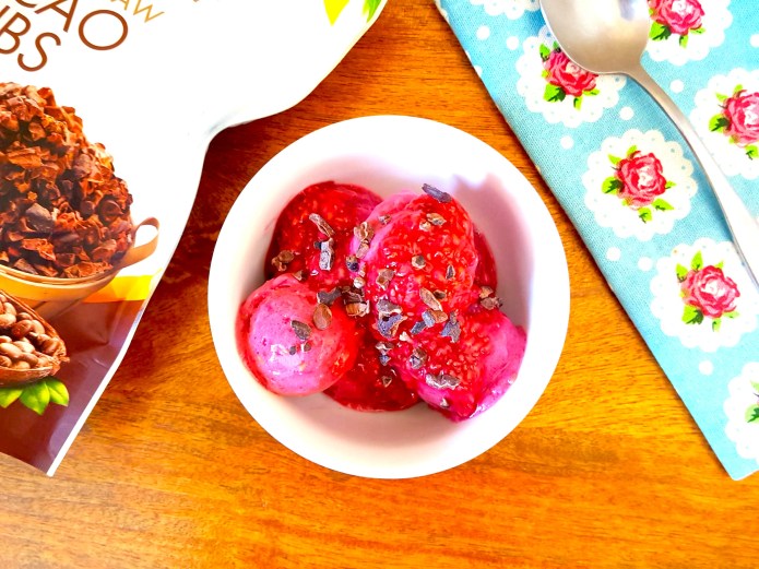 Raspberry ice cream 17